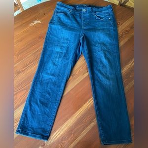 Liverpool Los Angeles 16W The Slim Jean